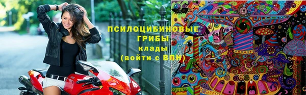 крисы Богданович