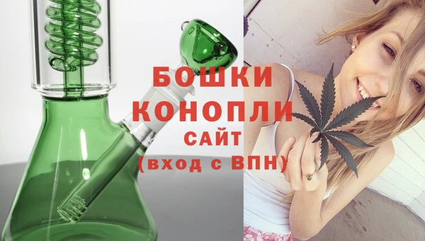 СК Дмитров