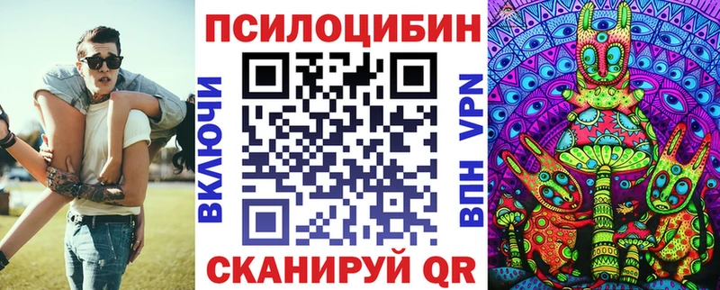 где можно купить наркотик  Елабуга  Псилоцибиновые грибы Magic Shrooms 