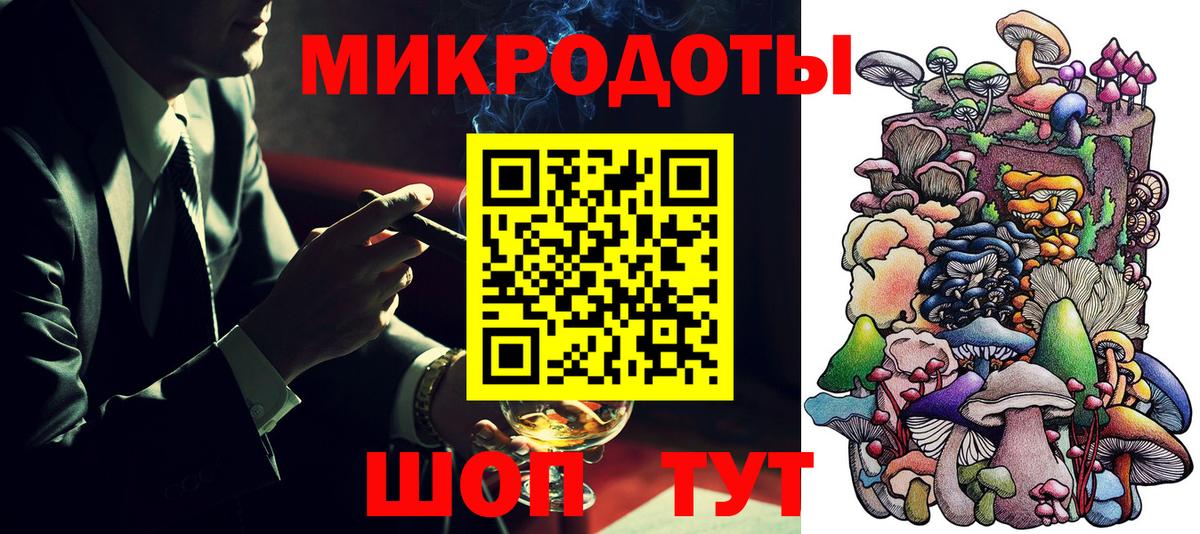 Галлюциногенные грибы Psilocybe Елабуга