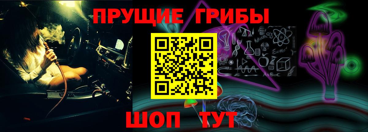 Псилоцибиновые грибы прущие грибы  Вход с VPN  Елабуга 
